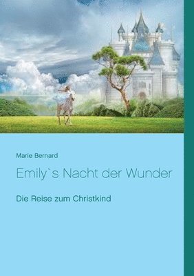 Emily`s Nacht der Wunder 1