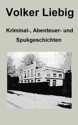 bokomslag Kriminal-, Abenteuer- und Spukgeschichten