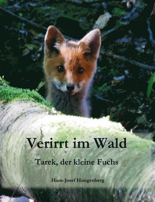 Verirrt im Wald 1