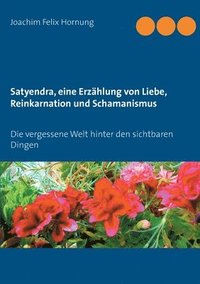 bokomslag Satyendra, eine Erzählung von Liebe, Reinkarnation und Schamanismus