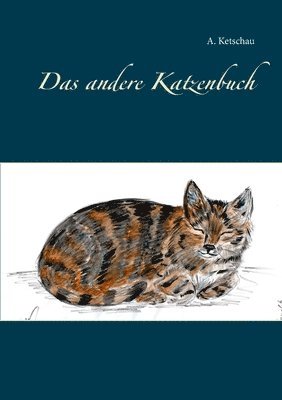 bokomslag andere Katzenbuch