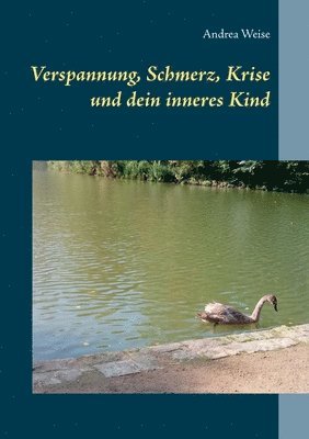 bokomslag Verspannung, Schmerz, Krise und dein inneres Kind