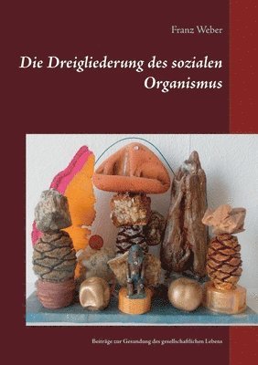 bokomslag Die Dreigliederung des sozialen Organismus