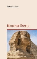 bokomslag Nasenstüber 3