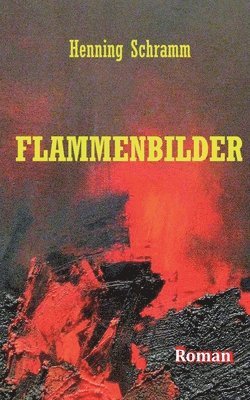 bokomslag Flammenbilder