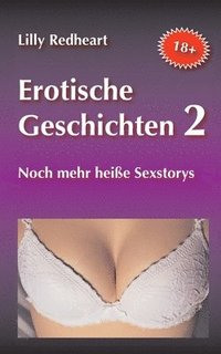 bokomslag Erotische Geschichten 2