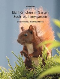 bokomslag Eichhrnchen im Garten / Squirrels in my garden