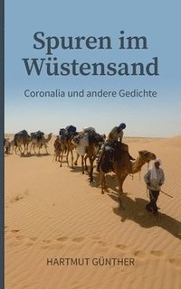 bokomslag Spuren im Wüstensand