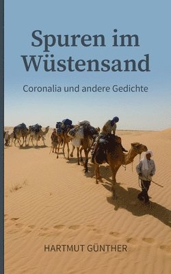 Hartmut Günther - Spuren im Wüstensand, Häftad