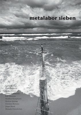 metalabor sieben 1