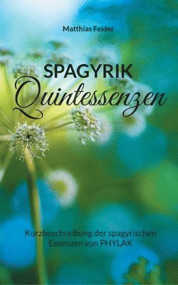 bokomslag Spagyrik Quintessenzen