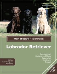 bokomslag Mein absoluter Traumhund