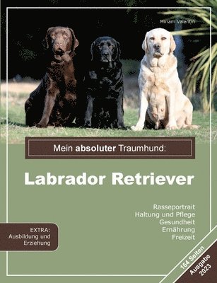 bokomslag Mein absoluter Traumhund