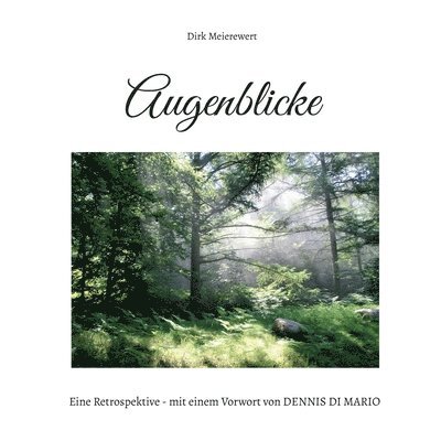 Augenblicke 1