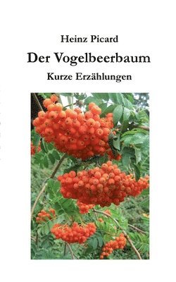 bokomslag Der Vogelbeerbaum