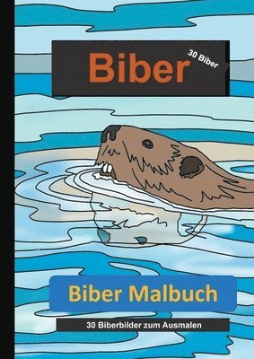 Biber Malbuch 1