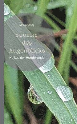 bokomslag Spuren des Augenblicks