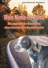 bokomslag Mein Name ist Balou