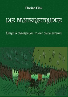 bokomslag Die Mysterietruppe