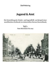 bokomslag Jugend & Amt