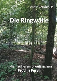 bokomslag Die Ringwalle