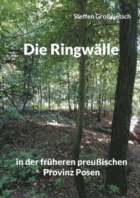 bokomslag Die Ringwalle