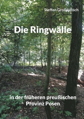 Steffen Großpietsch - Ringwälle, Häftad