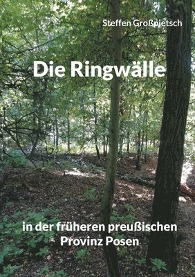 Die Ringwalle 1