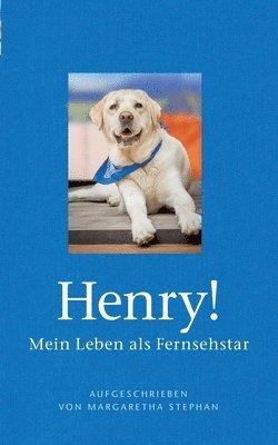 bokomslag Henry! Mein Leben als Fernsehstar