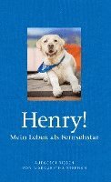 bokomslag Henry! Mein Leben als Fernsehstar