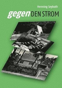 bokomslag Gegen den Strom