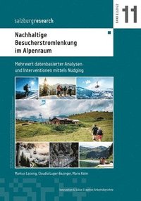bokomslag Nachhaltige Besucherstromlenkung im Alpenraum