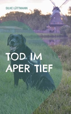 bokomslag Tod im Aper Tief