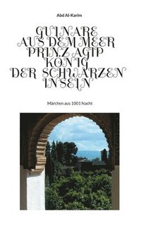 bokomslag Gulnare aus dem Meer - Prinz Agip - Der Knig der Schwarzen Inseln