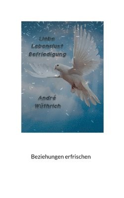 bokomslag Liebe Lebenslust und Befriedigung