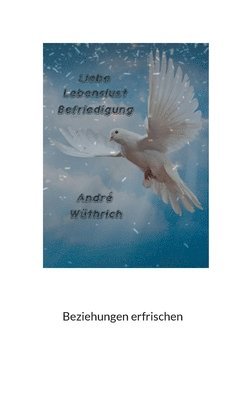 bokomslag Liebe Lebenslust und Befriedigung