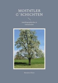 bokomslag Most4tler G¿schichten