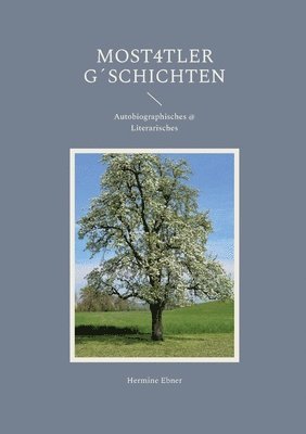 bokomslag Most4tler G¿schichten