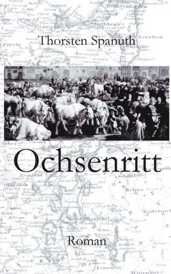 bokomslag Ochsenritt