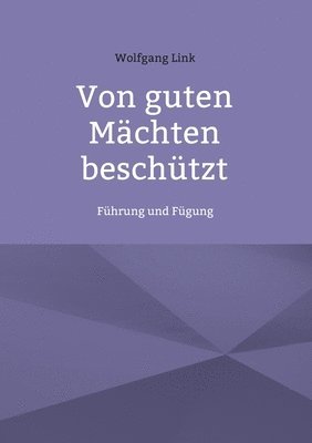 Wolfgang Link - Von guten Mächten beschützt, Häftad