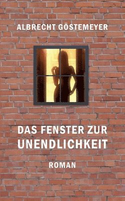 bokomslag Das Fenster zur Unendlichkeit