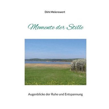 bokomslag Momente der Stille