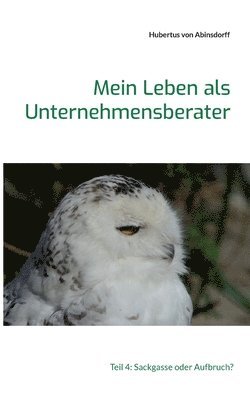 bokomslag Mein Leben als Unternehmensberater