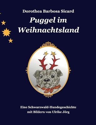 bokomslag Puggel im Weihnachtsland