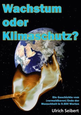 Ulrich Seibert - Wachstum oder Klimaschutz?, Häftad
