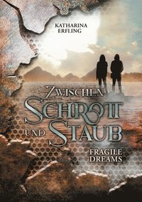 bokomslag Zwischen Schrott und Staub