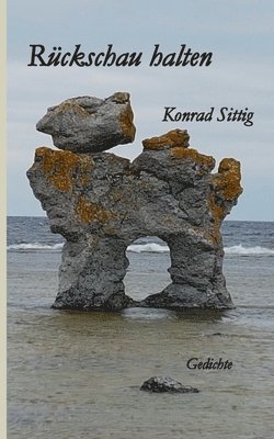 bokomslag Rückschau halten