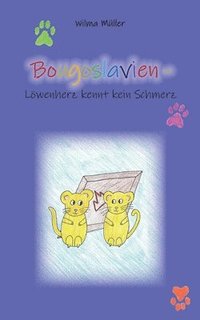 bokomslag Bougoslavien 13