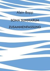 bokomslag Soma Summarum Zusammenfassung