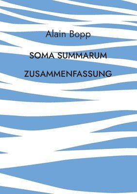 bokomslag Soma Summarum Zusammenfassung
